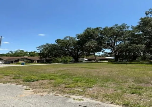Homes for sale in Fort Meade, FL | River Oak Dr, Fort Meade, FL 33841 | MLS# L4952312