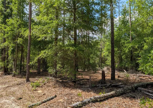 Photo 3 of Land for sale at Tbd Southwest 93rd Ln, Dunnellon, FL 34431 | MLS# OM699779 | Listing updated on 2026-07-21