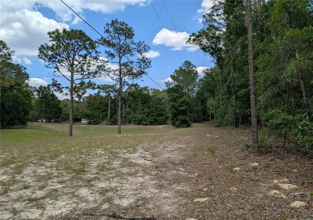 Photo 3 of Land for sale at Tbd Southwest 93rd Ln, Dunnellon, FL 34431 | MLS# OM699779 | Listing updated on 2026-07-21