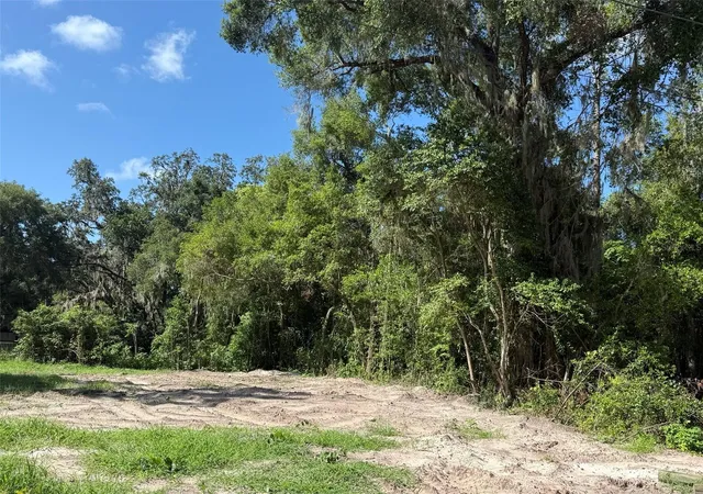 Photo 1 of Land for sale at 115 Roddy Ln, Palatka, FL 32177 | MLS# OK225130 | Listing updated on 2026-07-13