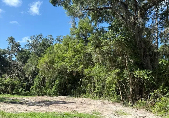 Photo 2 of Land for sale at 115 Roddy Ln, Palatka, FL 32177 | MLS# OK225130 | Listing updated on 2026-07-13