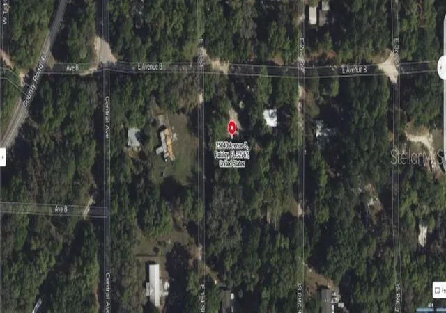 Homes for sale in Paisley, FL | 25040 E Avenue B, Paisley, FL 32767 | MLS# O6301349