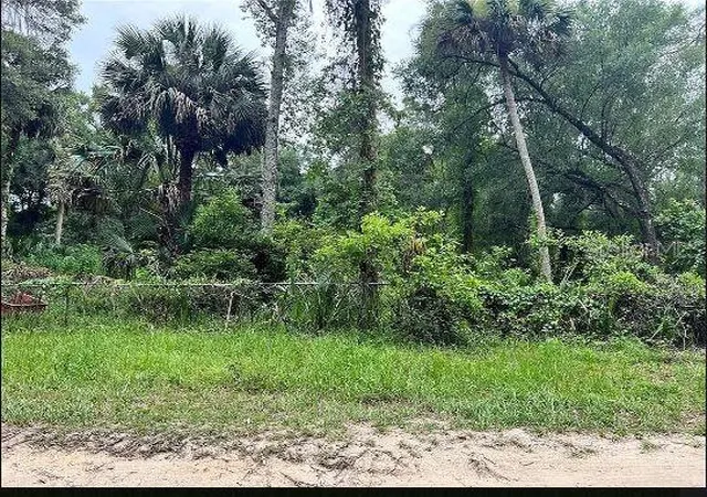 Homes for sale in Paisley, FL | 25040 E Avenue B, Paisley, FL 32767 | MLS# O6301349