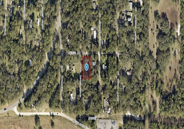 Homes for sale in Paisley, FL | 25040 E Avenue B, Paisley, FL 32767 | MLS# O6301349