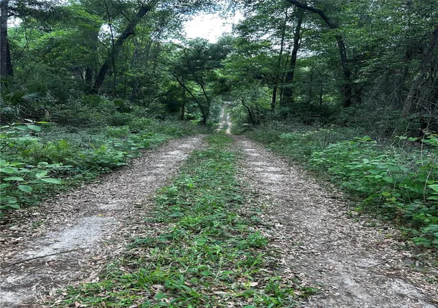 2nd image of Tbd Nw 123rd Pl, Citra, FL 32113 | MLS# OM699883