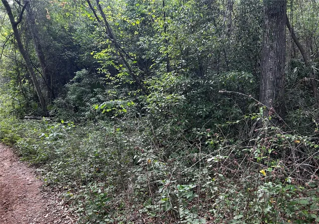 Photo 3 of Land for sale at Tbd Nw 123rd Place, Citra, FL 32113 | MLS# OM699883 | Listing updated on 2026-08-11