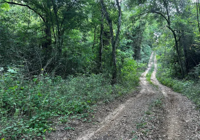 4th image of Tbd Nw 123rd Pl, Citra, FL 32113 | MLS# OM699883