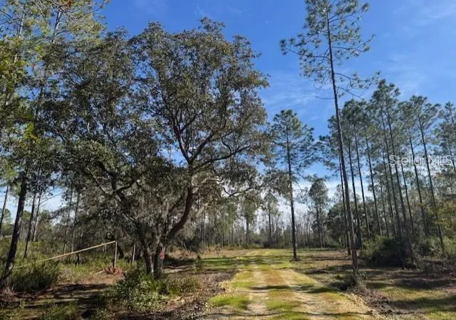 Photo 3 of Land for sale at Ne 150th Avenue Rd #LOT 1, Fort Mc Coy, FL 32134 | MLS# OM699895 | Listing updated on 2026-07-16