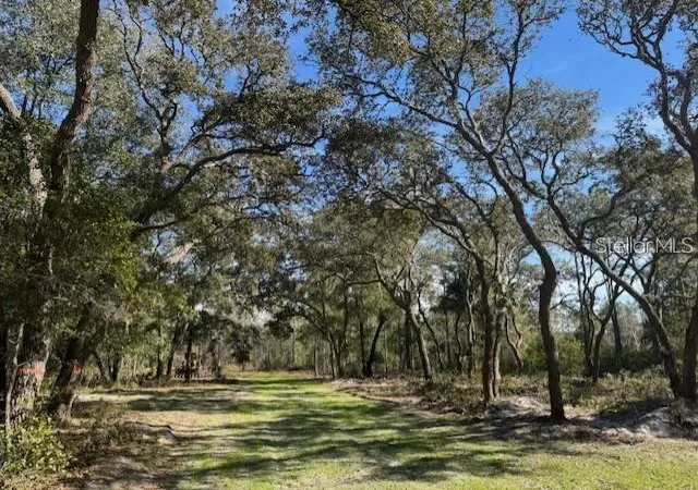 Photo 3 of Land for sale at NE 150th Avenue Rd #LOT 1, Fort Mc Coy, FL 32134 | MLS# OM699895 | Listing updated on 2026-07-16