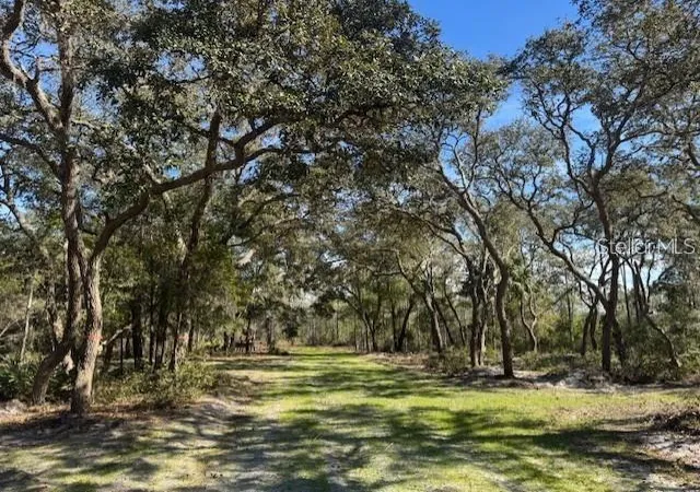 Photo 4 of Land for sale at NE 150th Avenue Rd #LOT 1, Fort Mc Coy, FL 32134 | MLS# OM699895 | Listing updated on 2026-07-16