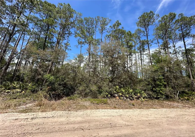 Photo 2 of Land for sale at 206 Hudson St, Interlachen, FL 32148 | MLS# O6303644 | Listing updated on 2026-10-08