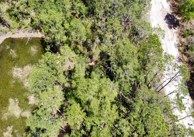 Photo 3 of Land for sale at 206 Hudson St, Interlachen, FL 32148 | MLS# O6303644 | Listing updated on 2026-10-08