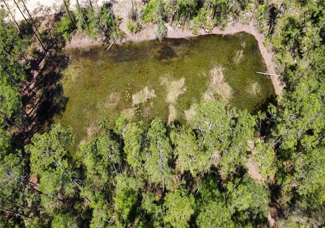 Photo 3 of Land for sale at 206 Hudson St, Interlachen, FL 32148 | MLS# O6303644 | Listing updated on 2026-10-08