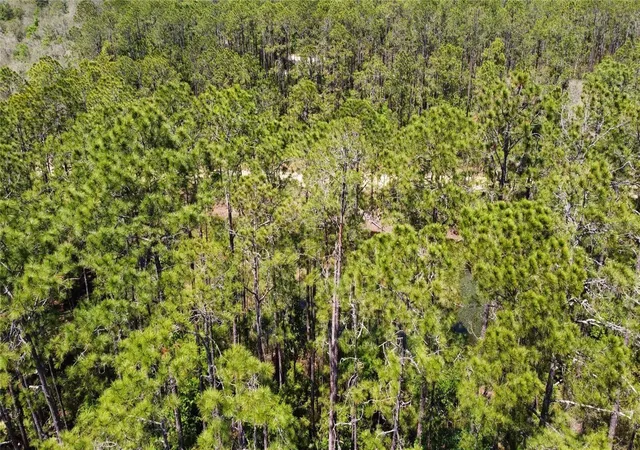 Photo 4 of Land for sale at 206 Hudson St, Interlachen, FL 32148 | MLS# O6303644 | Listing updated on 2026-10-08