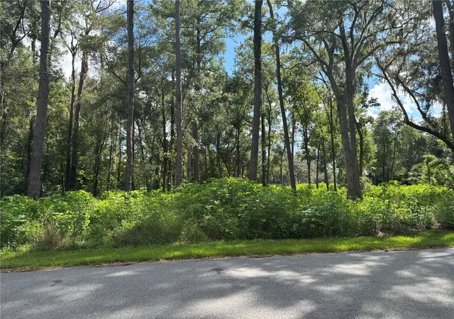Photo 3 of Land for sale at 1555 SE 73rd Place, Ocala, FL 34480 | MLS# OM700429 | Listing updated on 2026-07-07