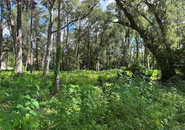 Photo 4 of Land for sale at 1555 SE 73rd Place, Ocala, FL 34480 | MLS# OM700429 | Listing updated on 2026-07-07
