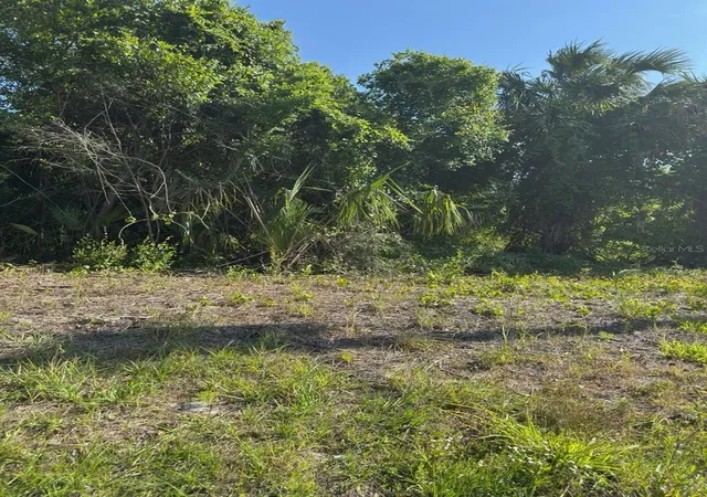 Photo 1 of Land for sale at 431 Birch Blvd, Georgetown, FL 32139 | MLS# O6304236 | Listing updated on 2026-07-23