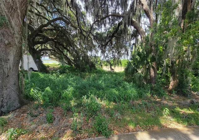 Photo 3 of Land for sale at Neptune Rd, Kissimmee, FL 34744 | MLS# S5125867 | Listing updated on 2026-04-30