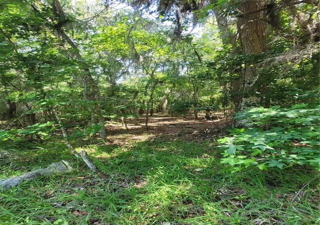 2nd image of 21779 Ne 115th Ave, Waldo, FL 32694 | MLS# FC309360