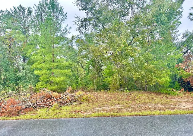 Photo 1 of Land for sale at Tbd Sw 46th Terrace #41, Ocala, FL 34473 | MLS# O6304772 | Listing updated on 2026-04-21
