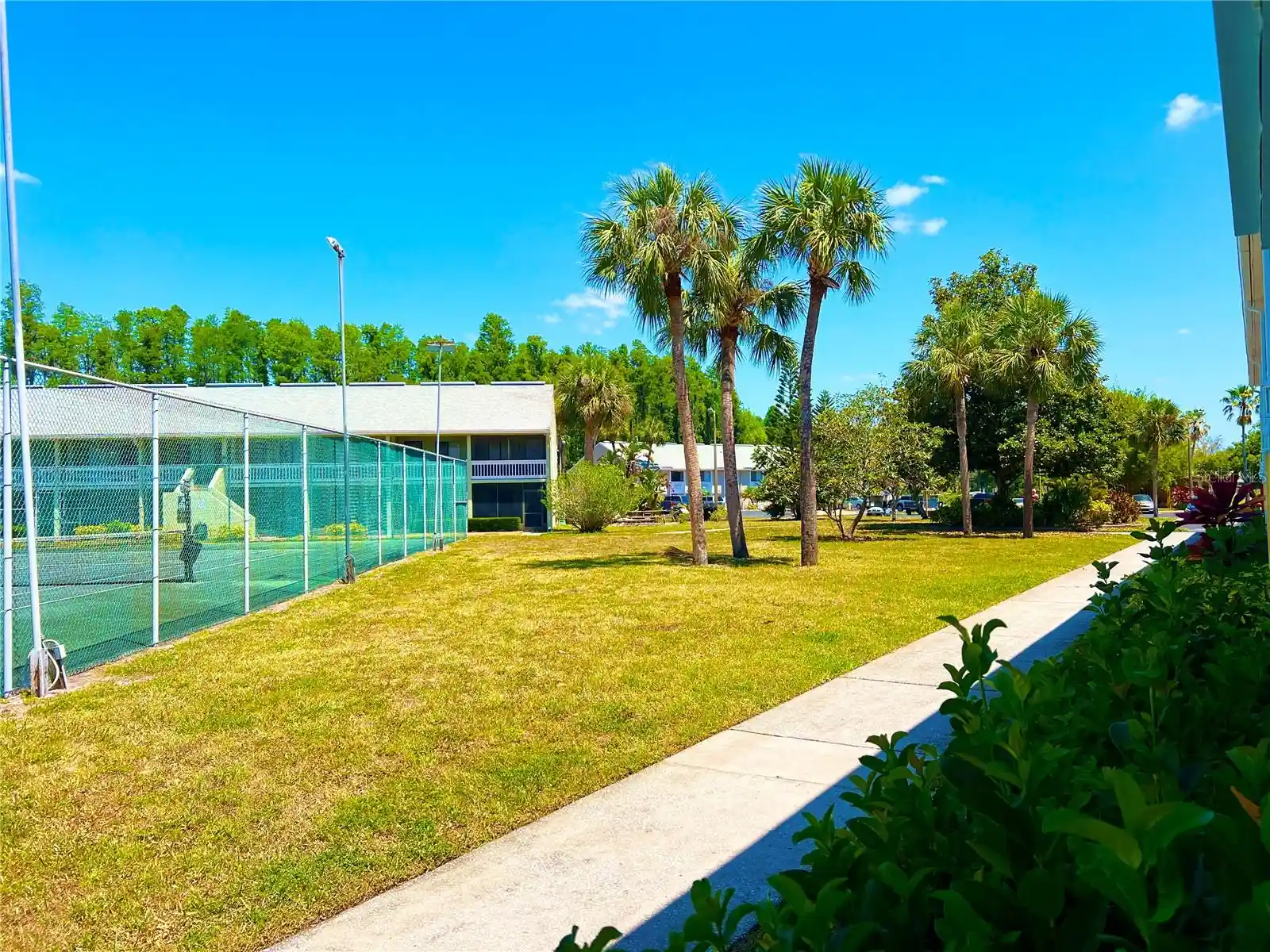 Listing Photo 2 - Condo for sale in 1849 Abrico Dr located at 1849 Abrico Dr, LUTZ, FL 33558 - Unit #K9