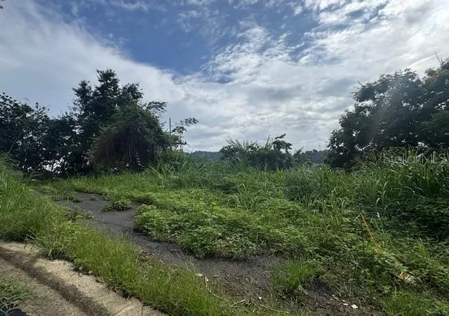 Homes for sale in Bayamon, PR | 816 Bo Nuevo, Bayamon, PR 00956 | MLS# PR9113364