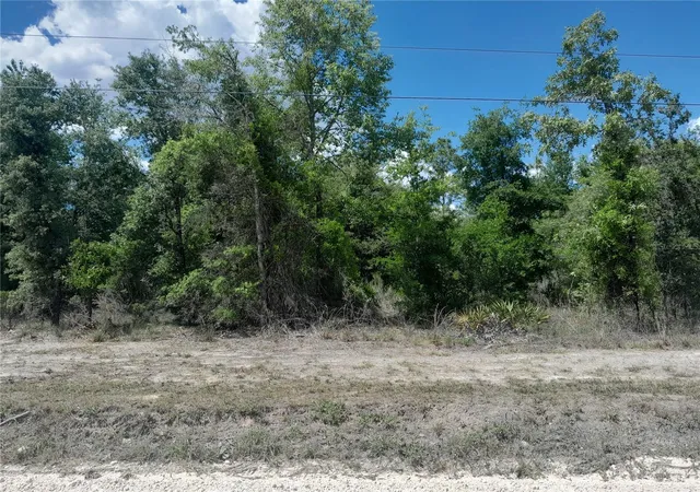 1st image of Tbd Ne 63rd Pl Ne, Williston, FL 32696 | MLS# OM700811
