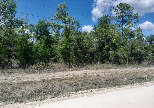 2nd image of Tbd Ne 63rd Pl Ne, Williston, FL 32696 | MLS# OM700811