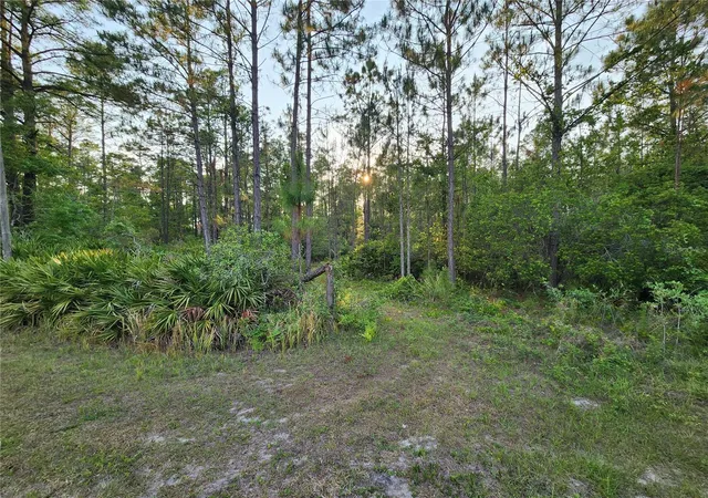 Photo 2 of Land for sale at Lot 8 Tamarac St, Eustis, FL 32736 | MLS# O6305779 | Listing updated on 2026-08-25