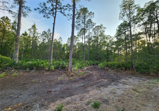 Photo 3 of Land for sale at Lot 8 Tamarac St, Eustis, FL 32736 | MLS# O6305779 | Listing updated on 2026-08-25