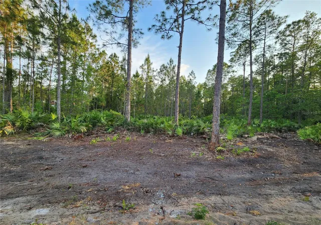 Photo 3 of Land for sale at Lot 8 Tamarac St, Eustis, FL 32736 | MLS# O6305779 | Listing updated on 2026-08-25