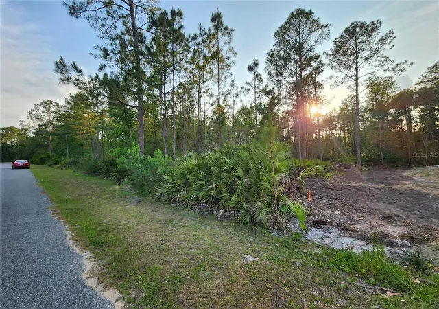 Photo 4 of Land for sale at Lot 8 Tamarac St, Eustis, FL 32736 | MLS# O6305779 | Listing updated on 2026-08-25