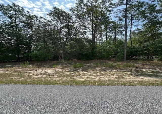 Photo 1 of Land for sale at 920 W Rum Pl, Dunnellon, FL 34434 | MLS# OM700898 | Listing updated on 2026-05-04