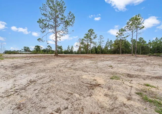 Photo 3 of Land for sale at 000 Ne Hwy 27 Alt, Williston, FL 32696 | MLS# GC530666 | Listing updated on 2026-09-26