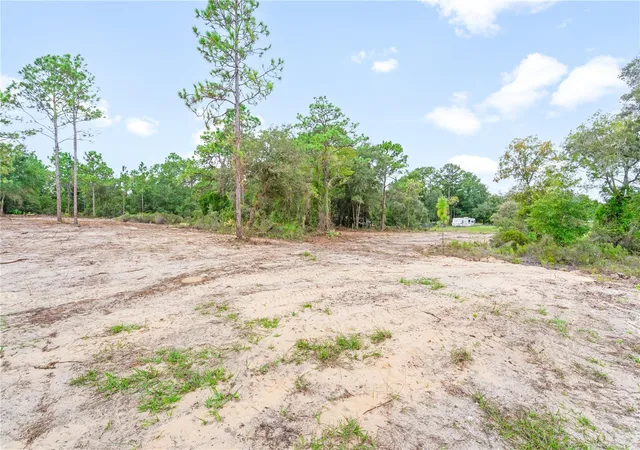 Photo 3 of Land for sale at 000 Ne Hwy 27 Alt, Williston, FL 32696 | MLS# GC530666 | Listing updated on 2026-09-26