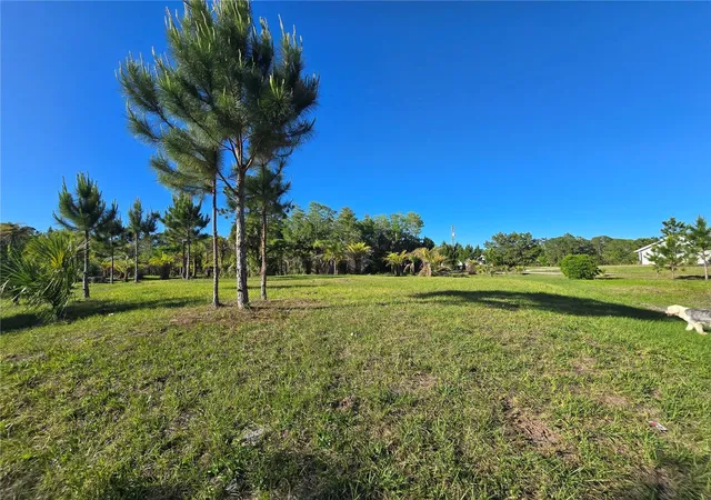 Photo 3 of Land for sale at 2625 Glencoe Farms Rd, New Smyrna Beach, FL 32168 | MLS# NS1084832 | Listing updated on 2026-05-22
