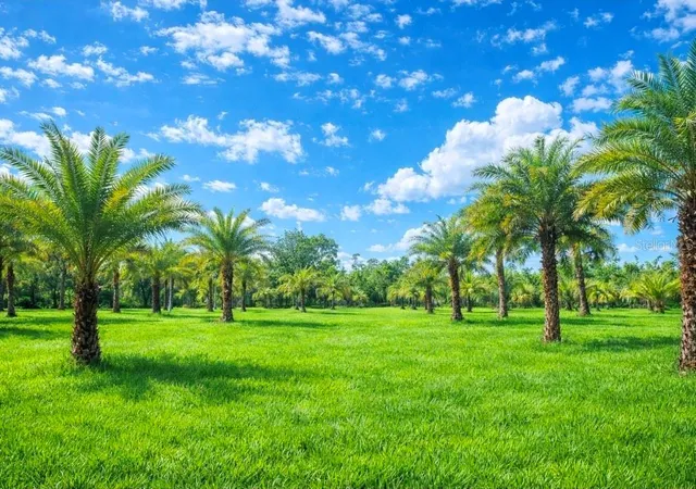 Land for sale at 2625 Glencoe Farms Rd, NEW SMYRNA BEACH, FL 32168 | MLS# NS1084832