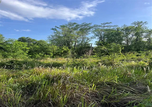 Photo 1 of Land for sale at Harvest Ln, Kissimmee, FL 34744 | MLS# O6306704 | Listing updated on 2026-09-04