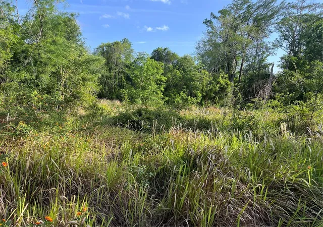 Photo 2 of Land for sale at Harvest Ln, Kissimmee, FL 34744 | MLS# O6306704 | Listing updated on 2026-09-04