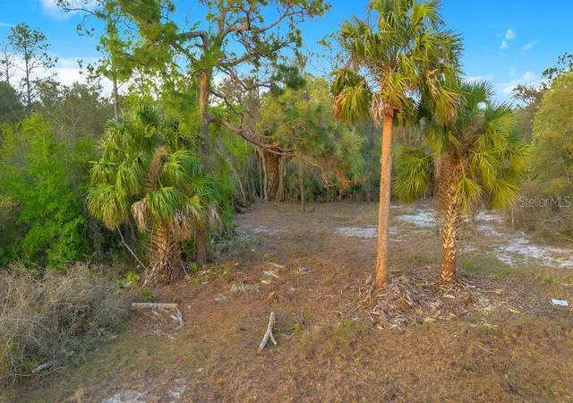 Photo 1 of Land for sale at 1411 Sarasota Ct, Kissimmee, FL 34759 | MLS# O6306971 | Listing updated on 2026-08-12