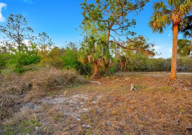 Photo 3 of Land for sale at 1411 Sarasota Ct, Kissimmee, FL 34759 | MLS# O6306971 | Listing updated on 2026-08-12