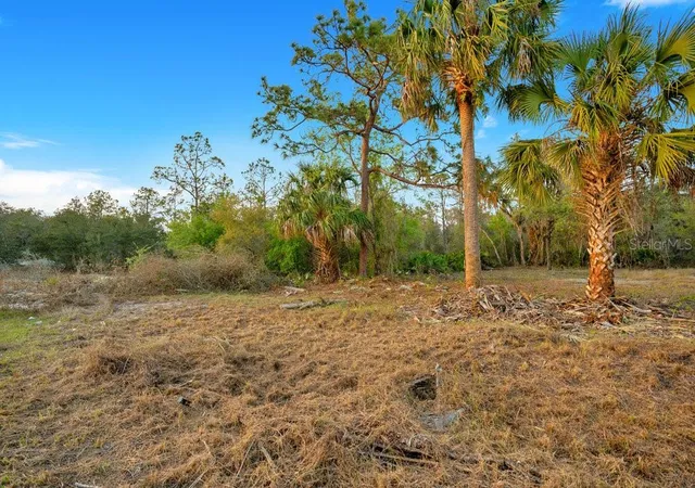 Photo 3 of Land for sale at 1411 Sarasota Ct, Kissimmee, FL 34759 | MLS# O6306971 | Listing updated on 2026-08-12