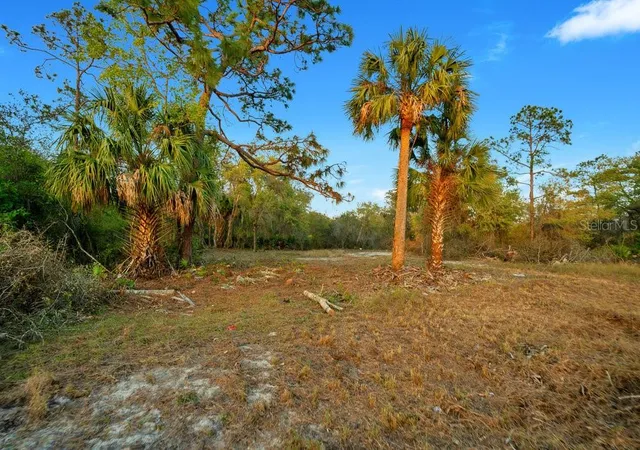 Photo 4 of Land for sale at 1411 Sarasota Ct, Kissimmee, FL 34759 | MLS# O6306971 | Listing updated on 2026-08-12