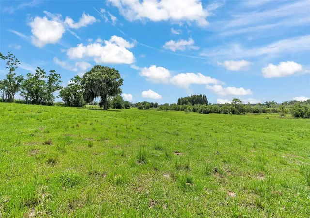 5th image of 8450 Alturas Babson Park Cutoff Rd, Bartow, FL 33830 | MLS# S5126479