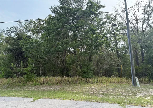 Photo 2 of Land for sale at Tbd Southwest 128th Pl, Ocala, FL 34473 | MLS# OM701105 | Listing updated on 2026-04-14