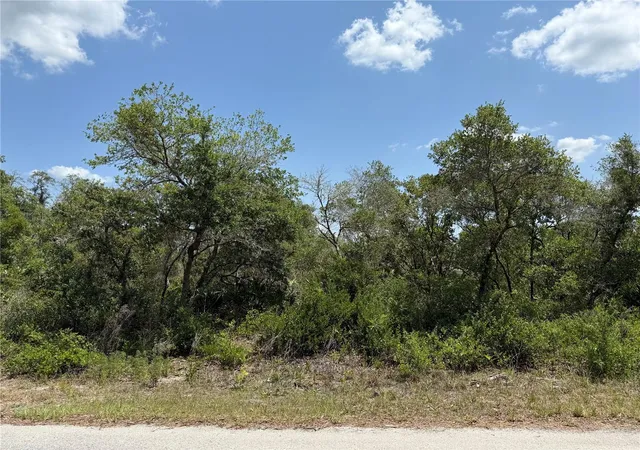 1st image of Tbd Fisher Loop #36, Ocklawaha, FL 32179 | MLS# OM701240