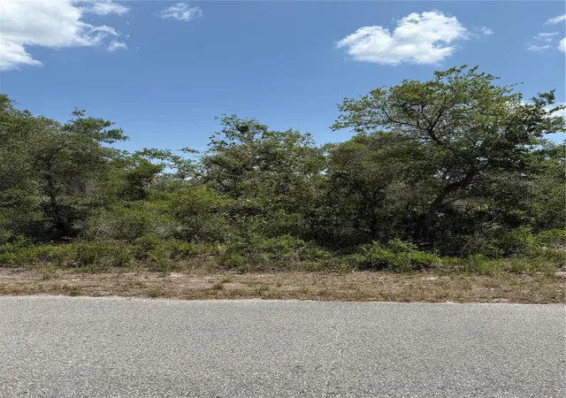 2nd image of Tbd Fisher Loop #36, Ocklawaha, FL 32179 | MLS# OM701240