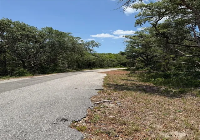 4th image of Tbd Fisher Loop #36, Ocklawaha, FL 32179 | MLS# OM701240
