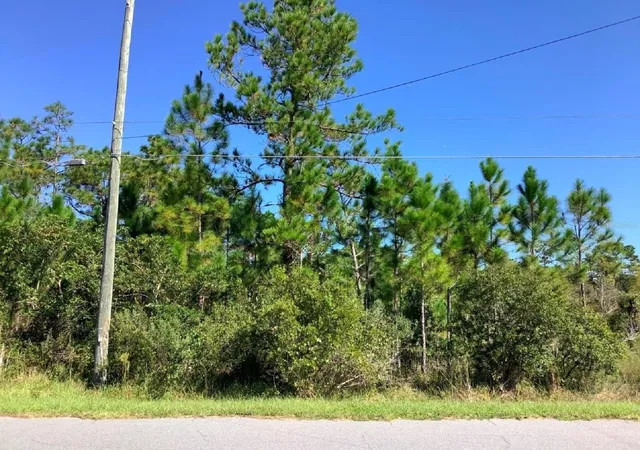 Photo 2 of Land for sale at 00000 Sheldon St, Orlando, FL 32833 | MLS# O6307581 | Listing updated on 2026-07-28