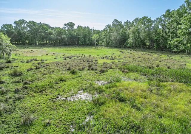 44th image of Tbd Cr 772b, Webster, FL 33597 | MLS# G5096925